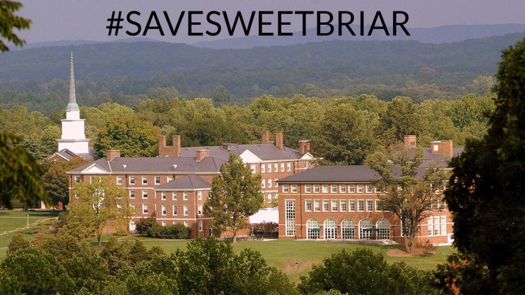 Sweet Briar 4